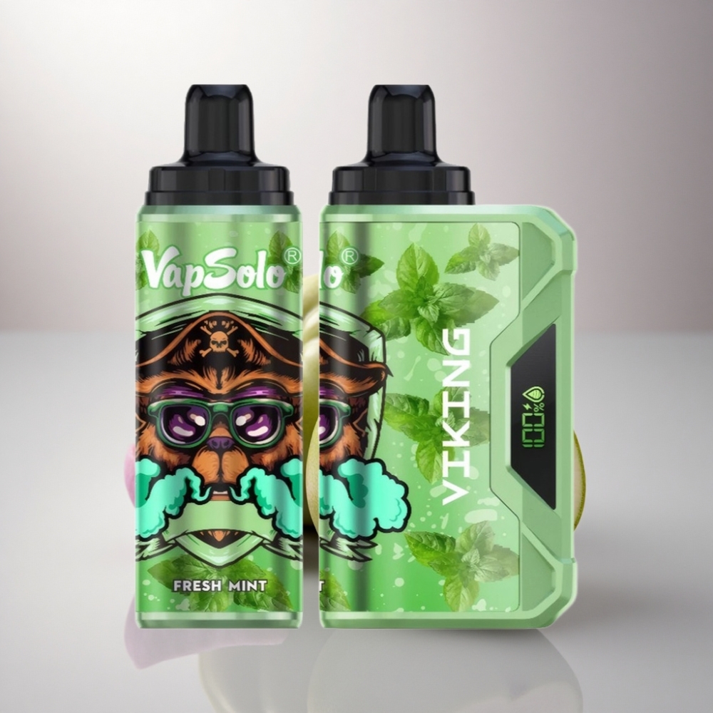 VapSolo VIKING 12000 Puffs Menta Fresca Tipo-C 22ml Nicotina
