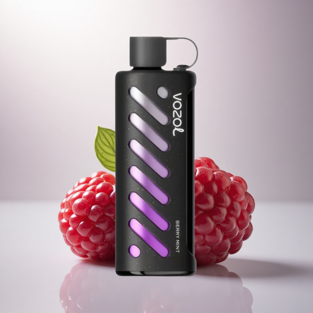 VOZOL Gear Shisha 25000 Puffs Menta Berry Dual Mesh 1000mAh