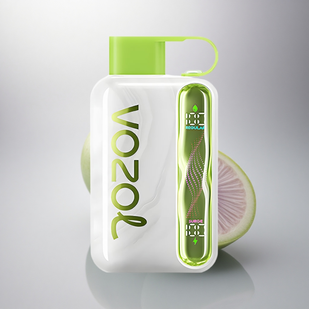 VOZOL STAR 40000 Puffs Menta Fresca Tipo-C 1000mAh Nicotina 20/50mg