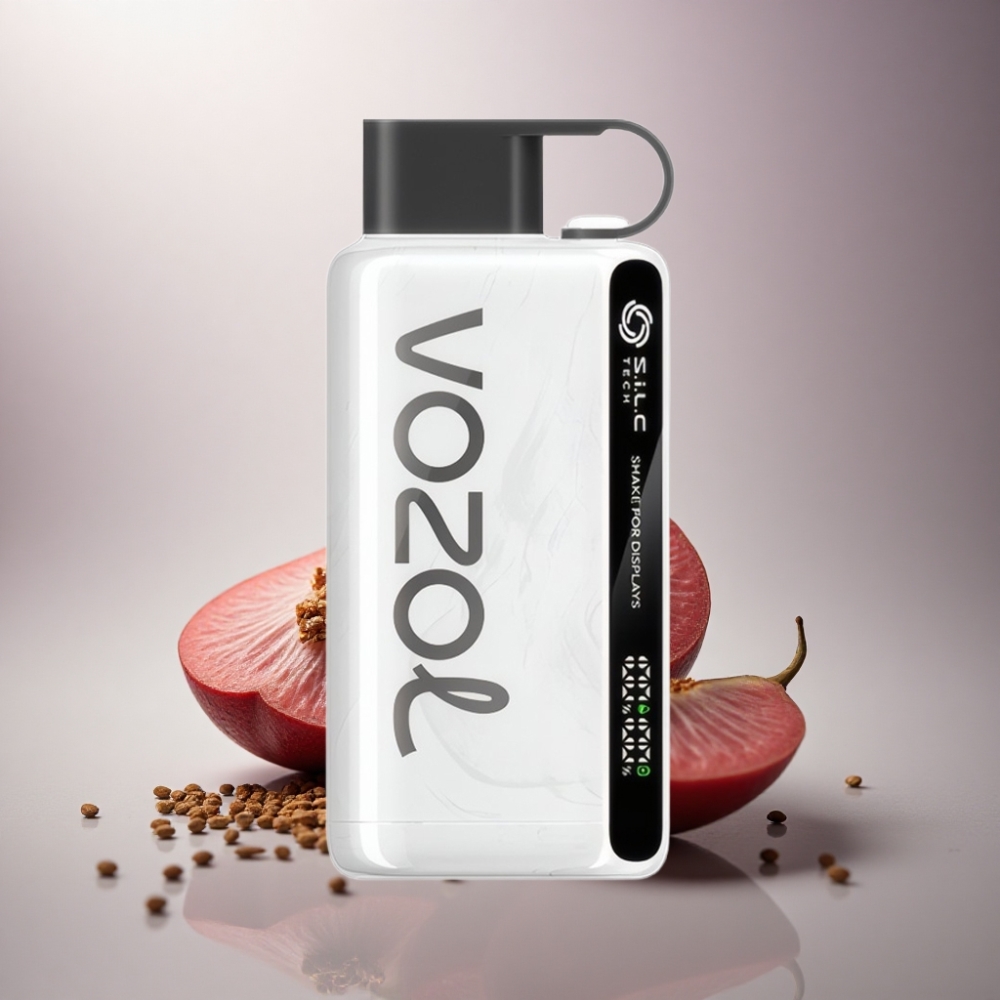 VOZOL STAR 9000/12000 Puffs Estrella Recargable Rápida 650mAh 50mg/ml Nicotina
